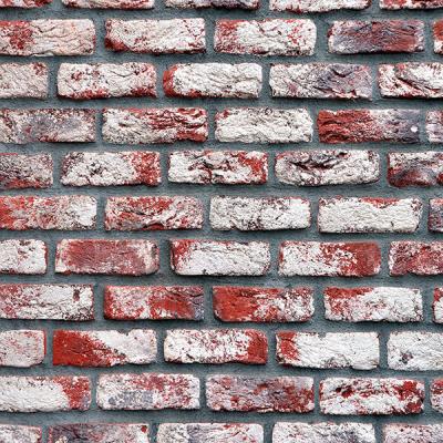 Old Brick Oxide Red